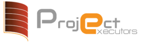 Project Executors